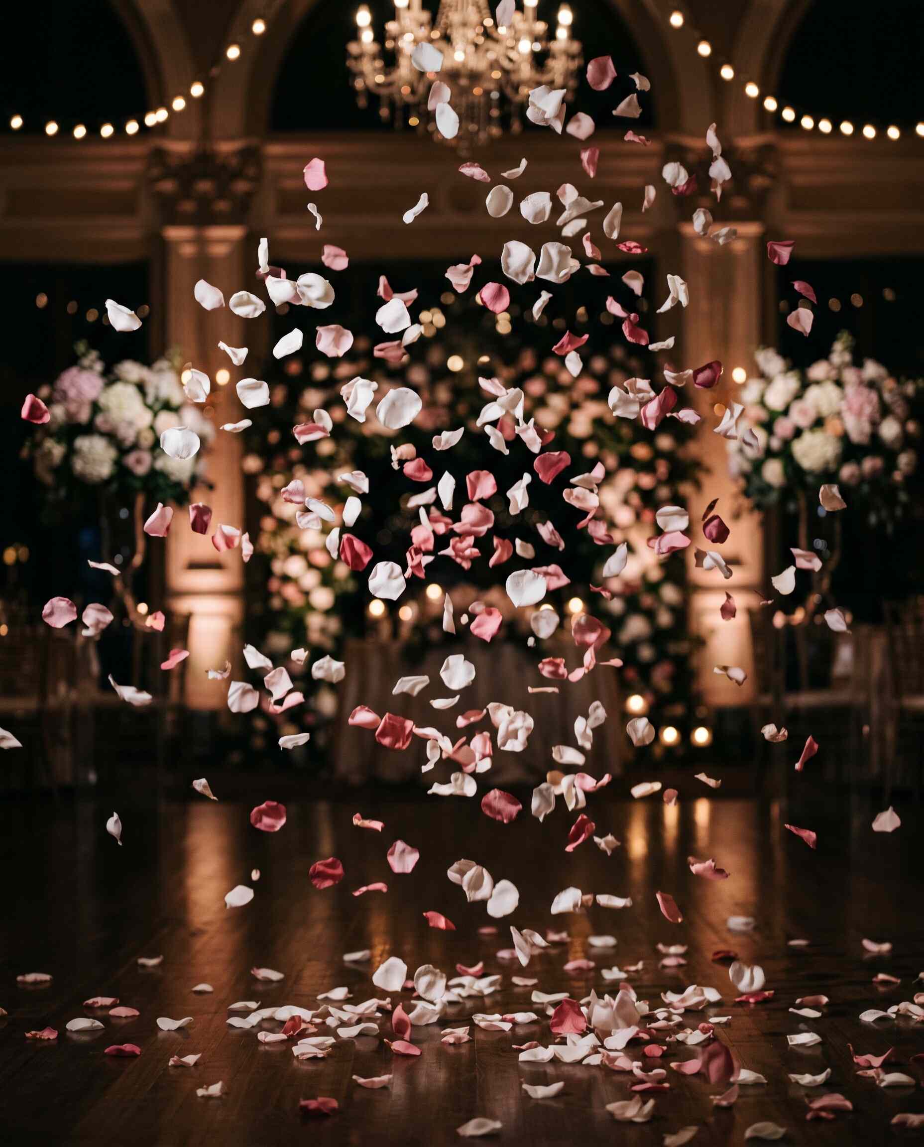 Petals Confetti
